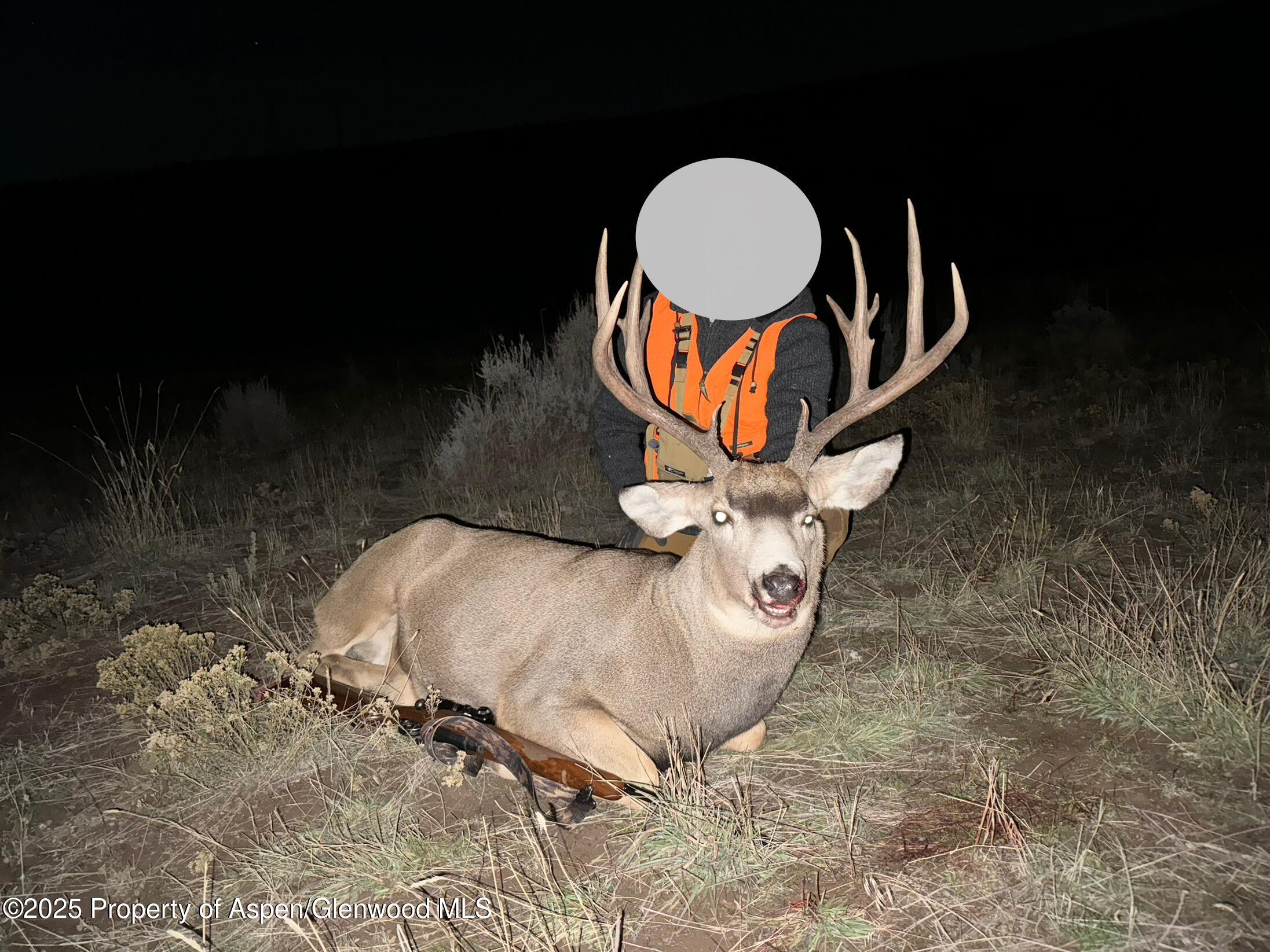 10444 County Road 320 Rifle, CO 81650 - Photo 46 of 48