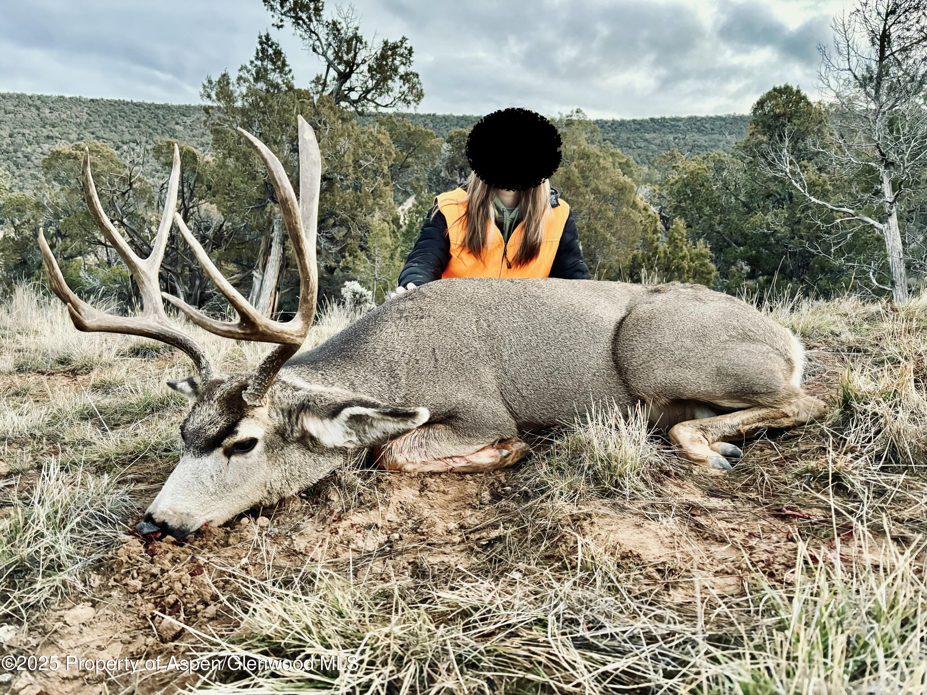 10444 County Road 320 Rifle, CO 81650 - Photo 47 of 48 a view of outdoor space