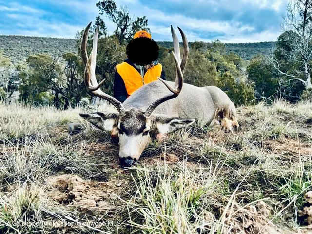 $1,395,000 | 10444 County Road 320, Rifle, CO 81650