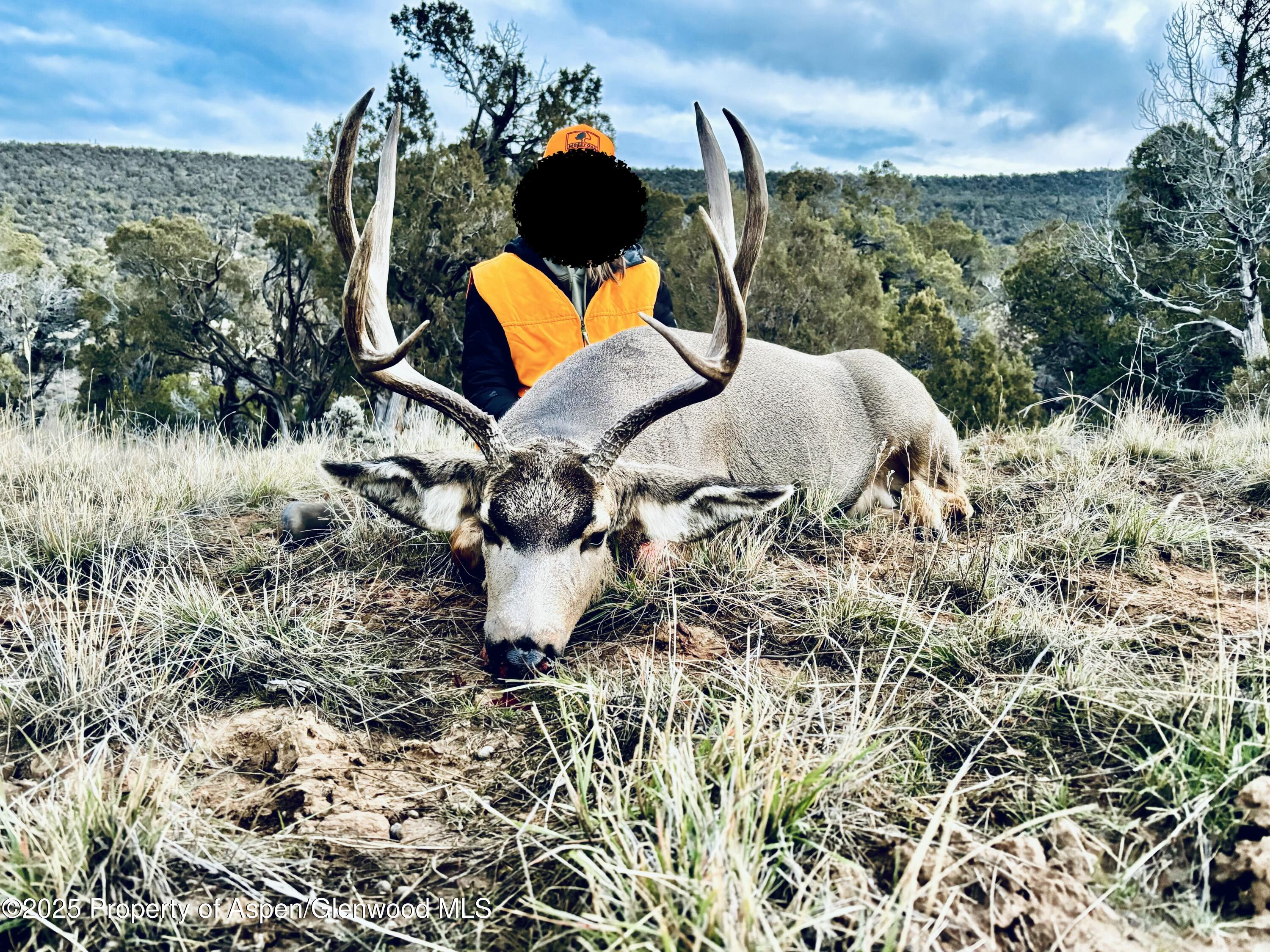 10444 County Road 320 Rifle, CO 81650 - Photo 48 of 48 IMG_0570 2