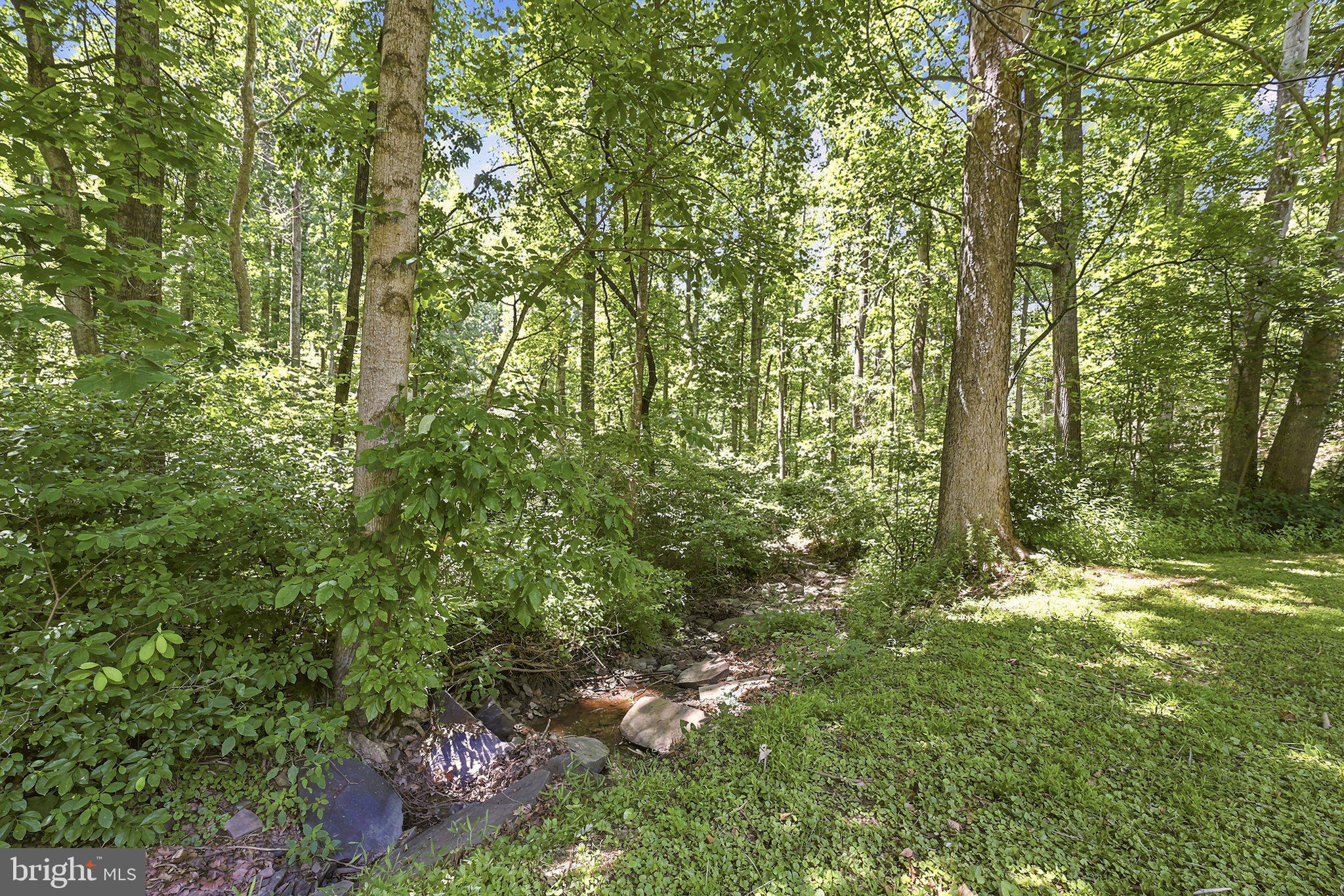 461 Norman Road High View, WV 26808 - Photo 3 of 73 Creek flows gently through property