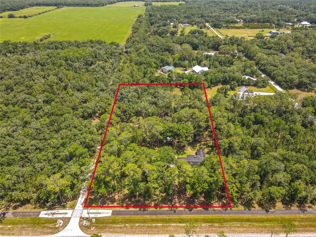 1395 Maytown Road Osteen, FL 32764 - Photo 8 of 65 a view of a yard with an outdoor space
