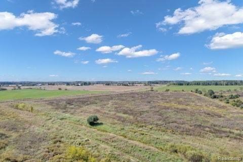 0 Thayer Road Mayville, MI 48744 - Photo 3 of 5 Gallery Image 3