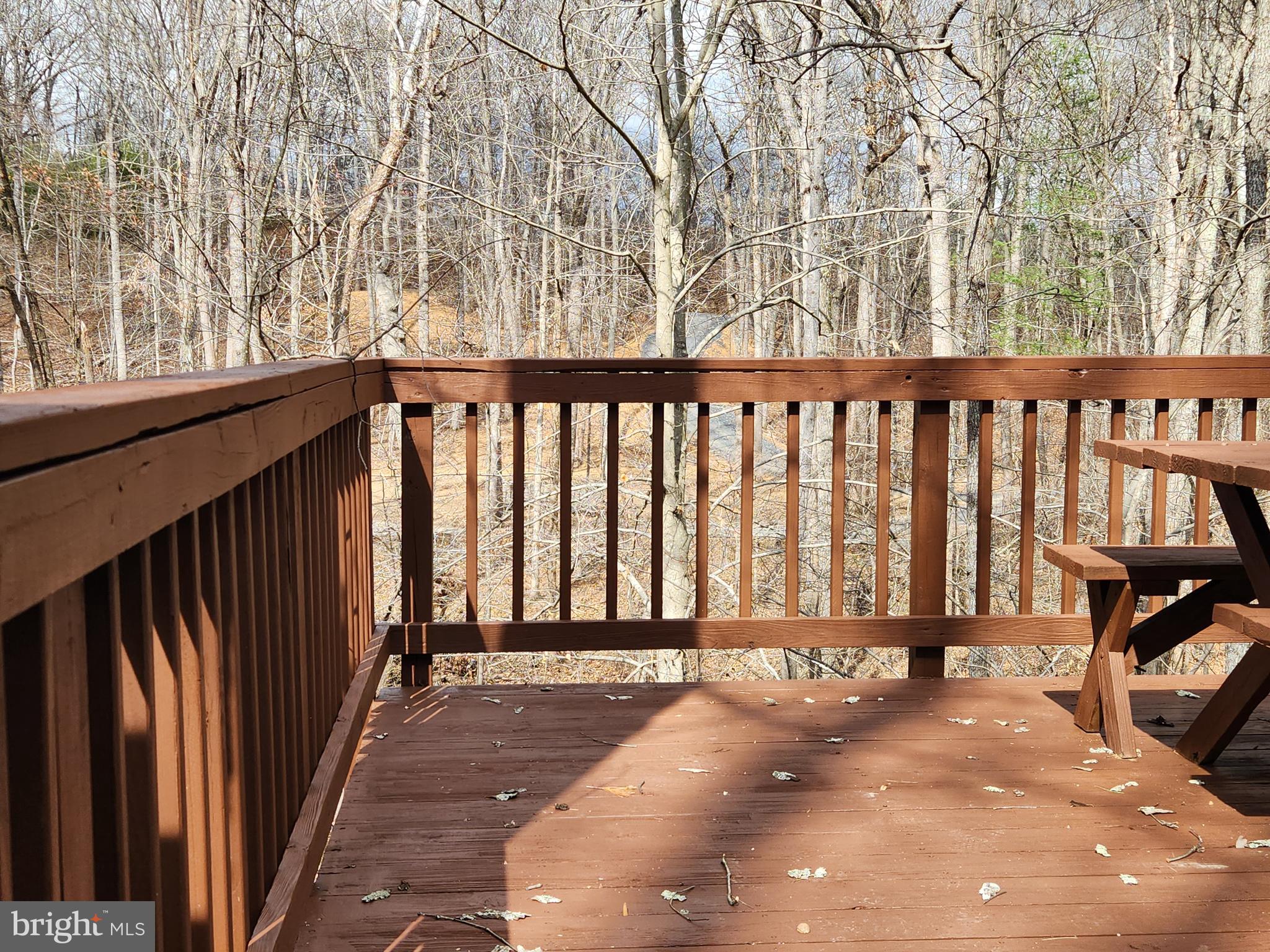 156 Dry Run Court Front Royal, VA 22630 - Photo 16 of 34 a view of a black gate