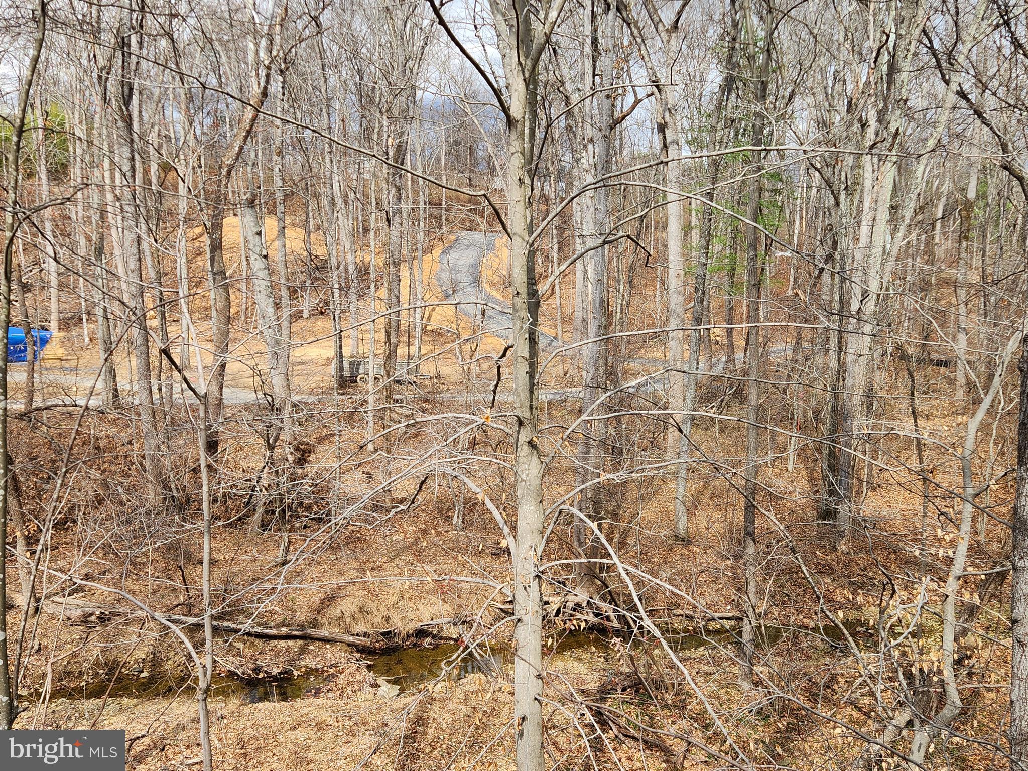 156 Dry Run Court Front Royal, VA 22630 - Photo 33 of 34 a backyard of a house