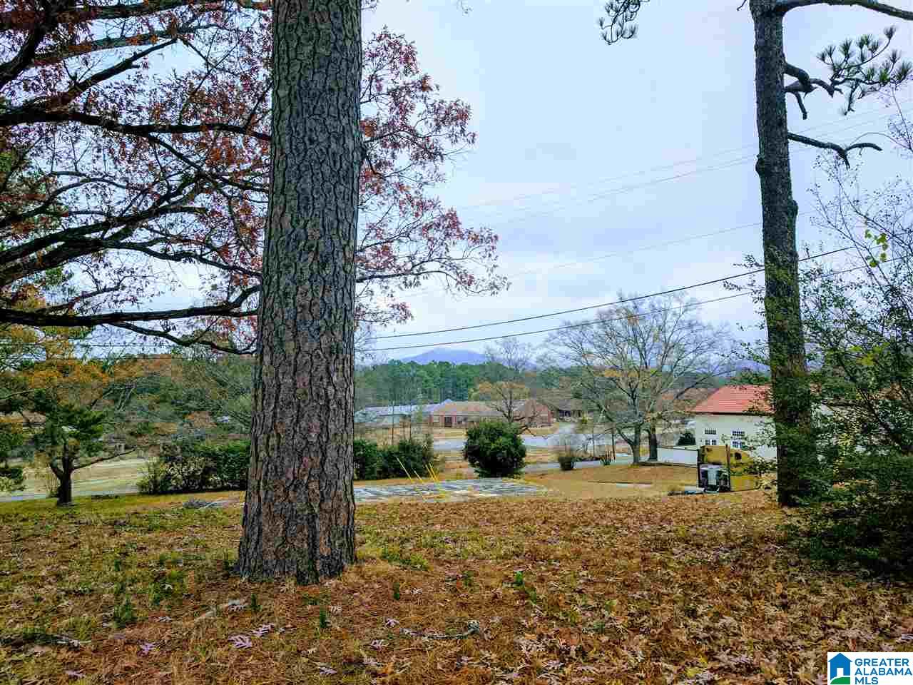 Baltzell Gate Road, Unit 1 45 Anniston, AL 36205 - Photo 2 of 19