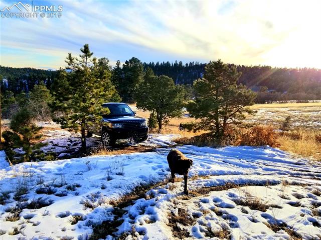 138 Pike View Road Florissant, CO 80816 - Photo 24 of 28