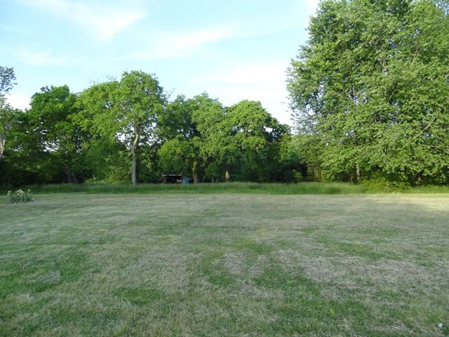 294 Grove Road Morrison, TN 37357 - Photo 4 of 14