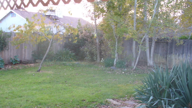 2601 Atrium Way Redding, CA 96003 - Photo 17 of 20 backyard