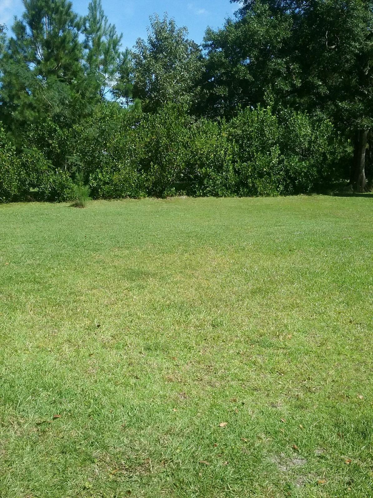 9489 Koester Road Ladson, SC 29456 - Photo 3 of 6 03