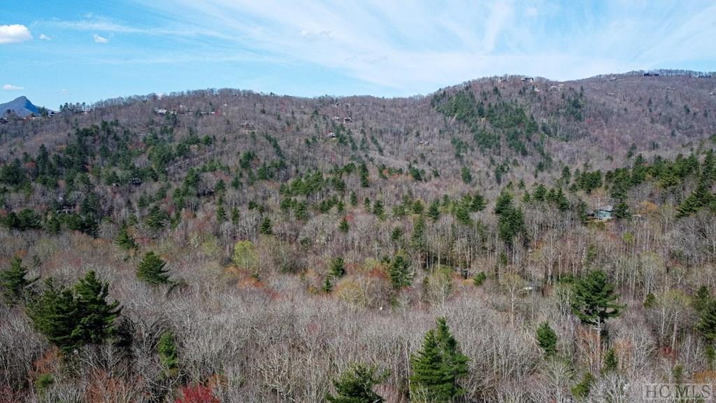 7 Tower Road Sapphire, NC 28774 - Photo 9 of 28 Gallery Image 9