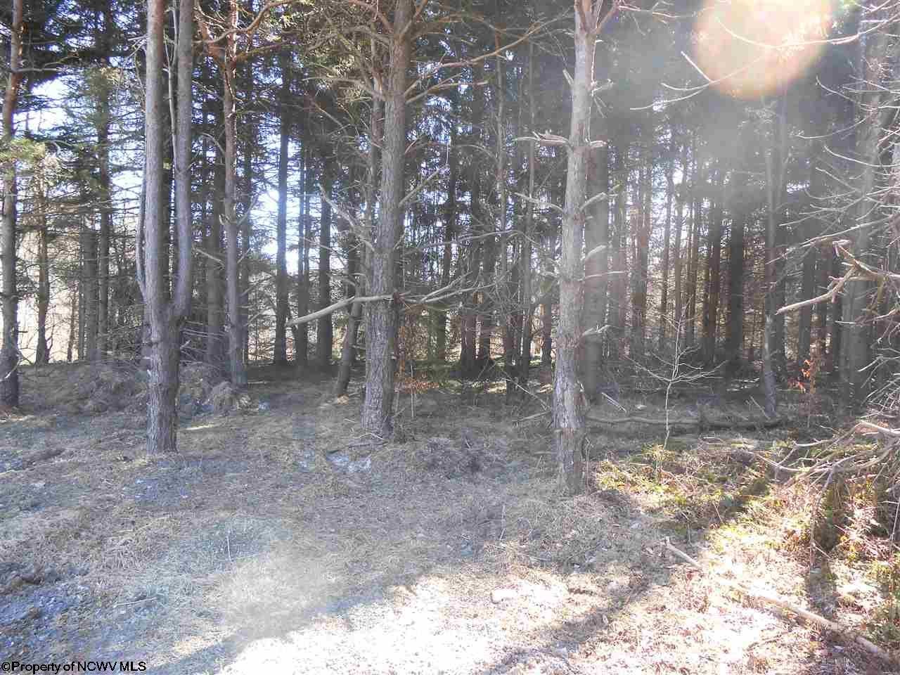 15 Rapp Drive Davis, WV 26260 - Photo 3 of 4 Gallery Image 3