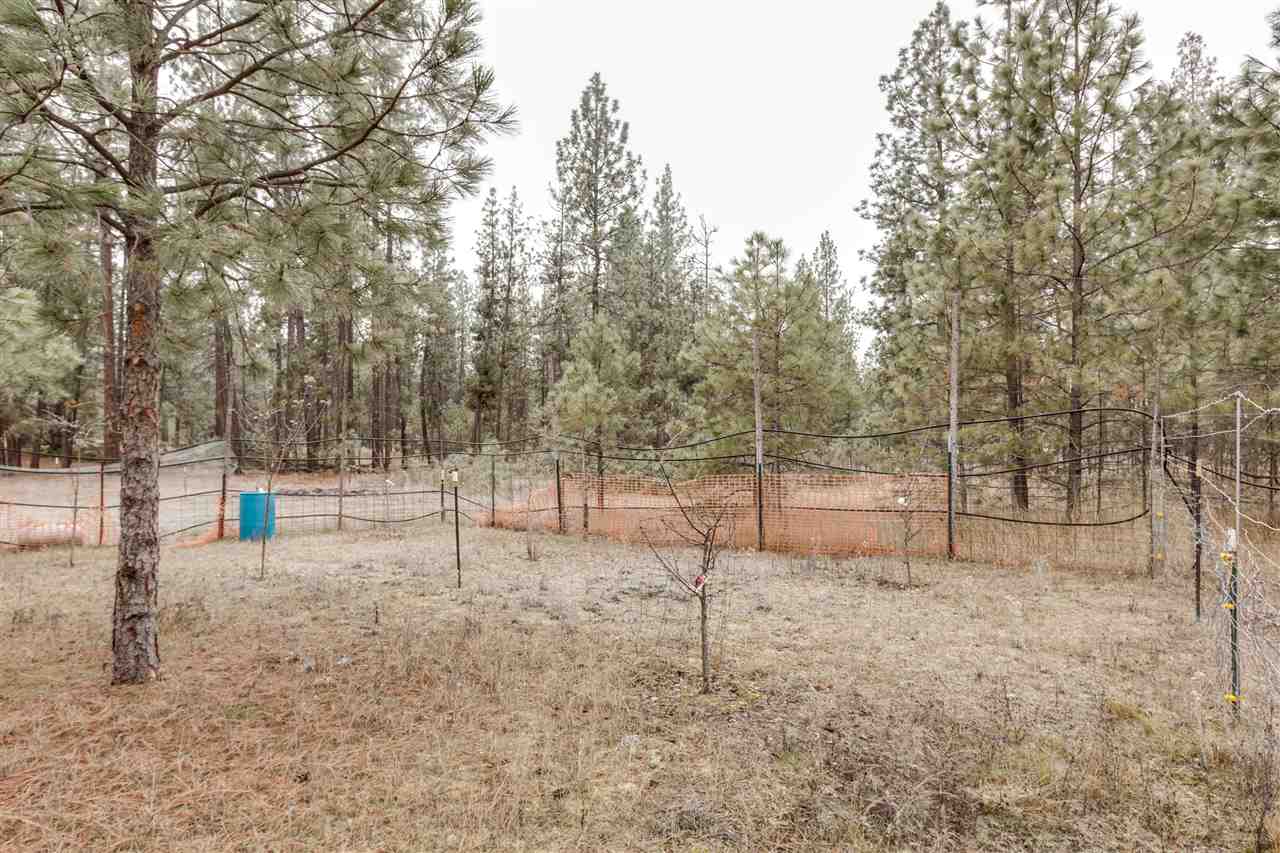 28909 West Long Lake Road Ford, WA 99013 - Photo 17 of 20