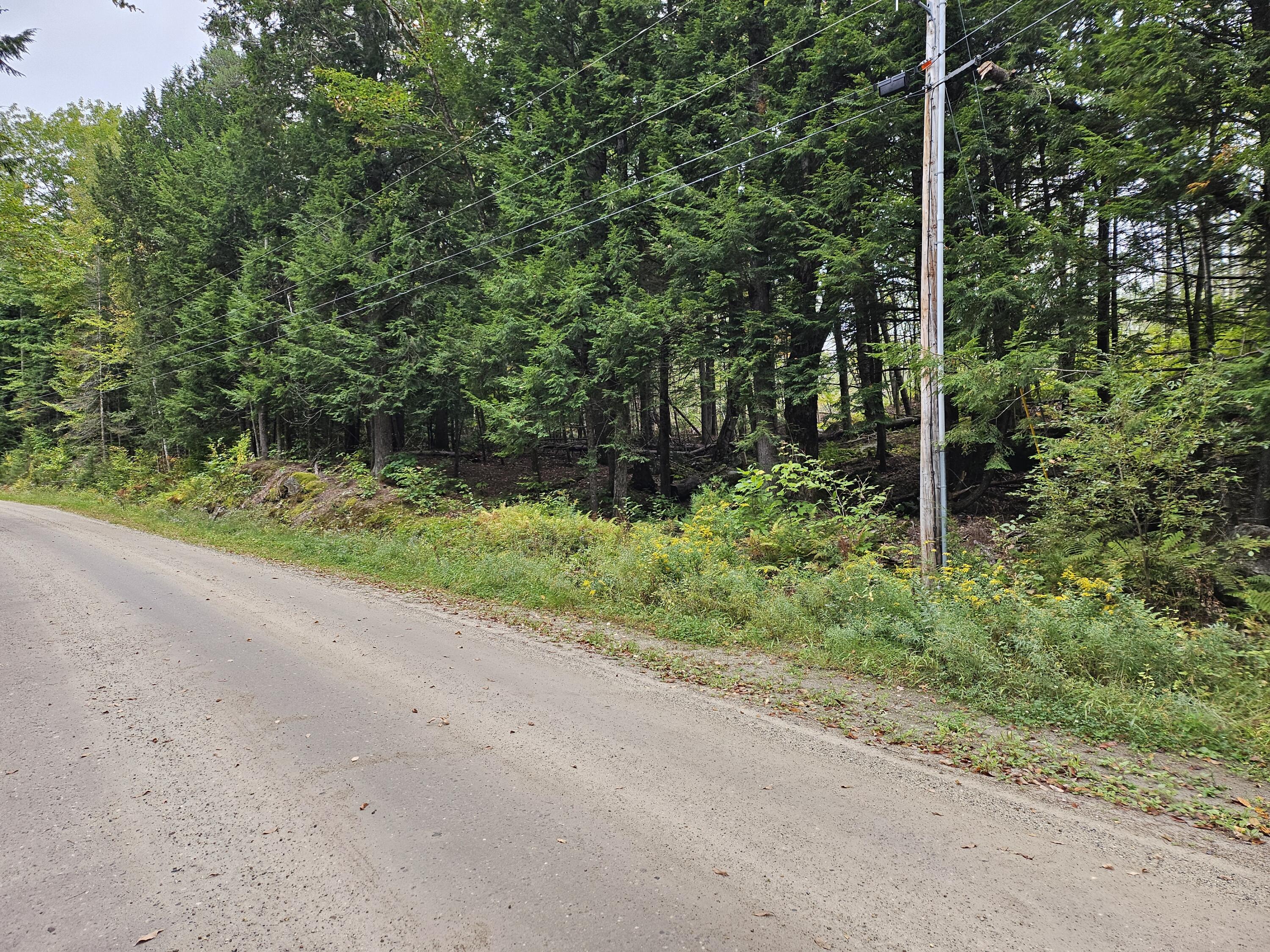 0 Horseshoe Pond Road Lovell, ME 04051 - Photo 2 of 2 Meatballs Horseshoe Pond Rd 2