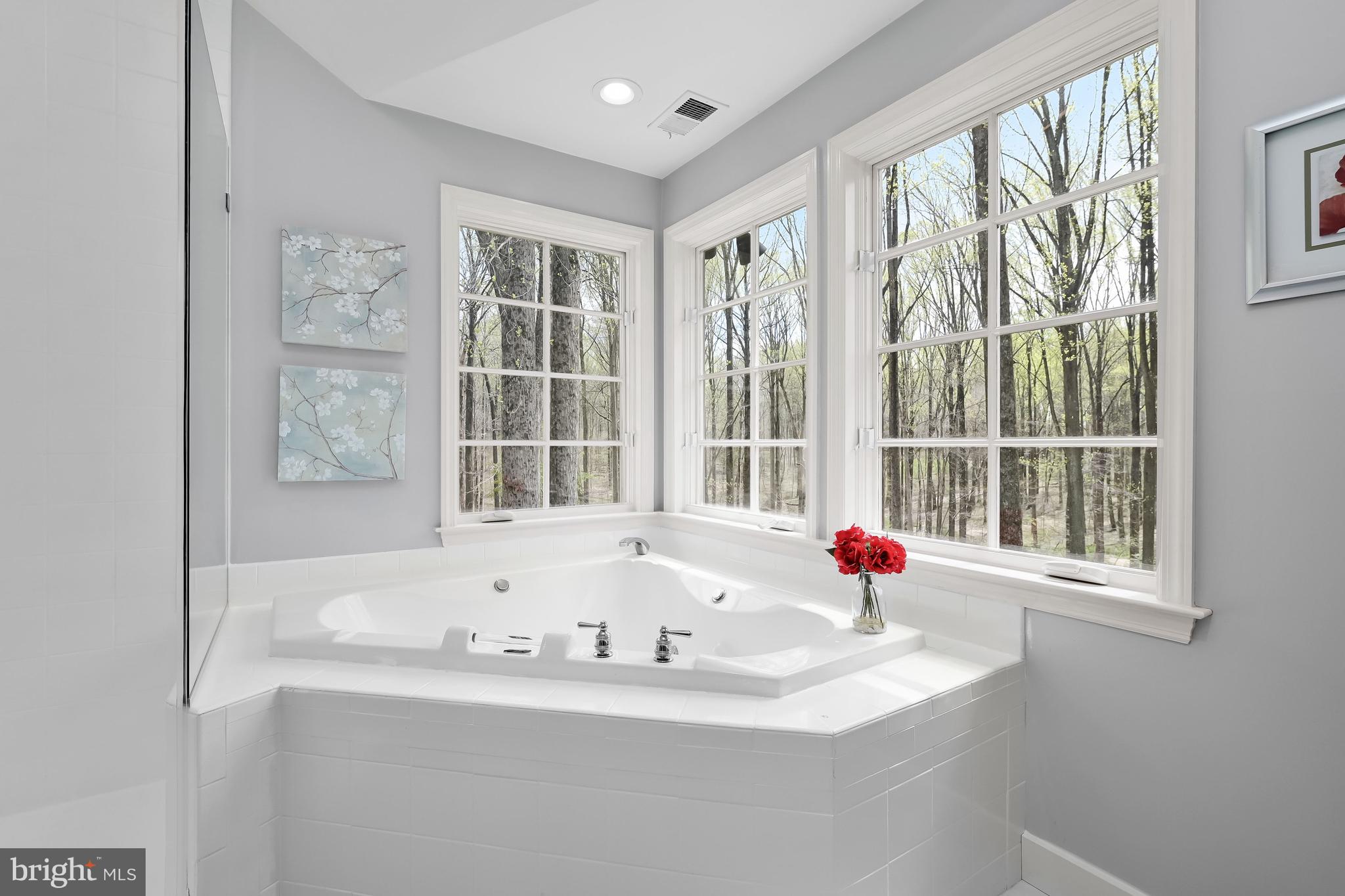 13839 Lakeside Drive Clarksville, MD 21029 - Photo 43 of 94 Primary Bedroom Suite Bath