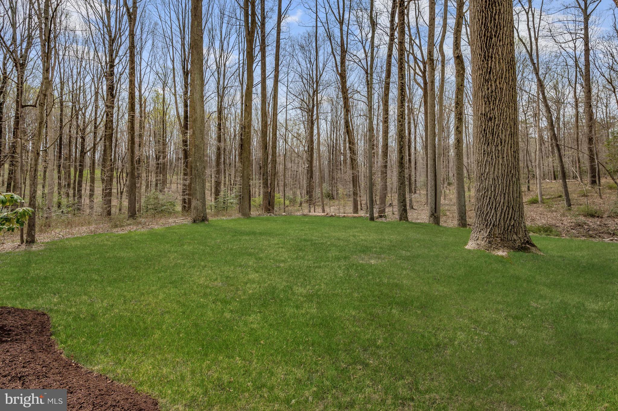 13839 Lakeside Drive Clarksville, MD 21029 - Photo 84 of 94 Tour Photo