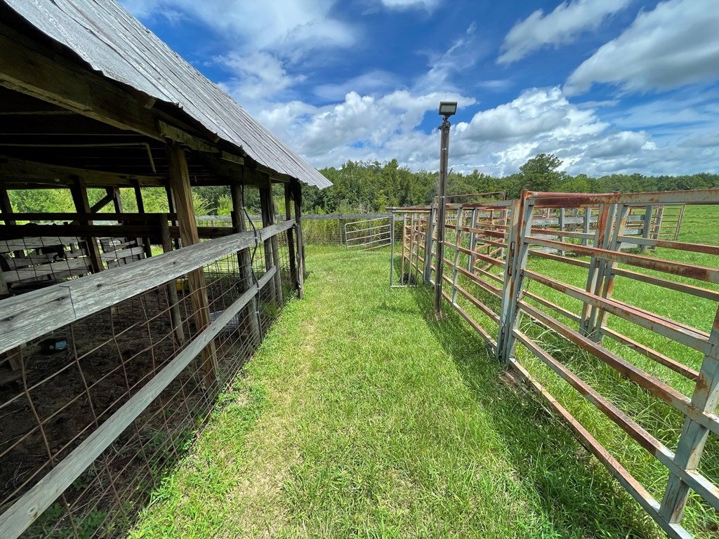 8471 Salem Road Pavo, GA 31778 - Photo 48 of 71 Gallery Image 48