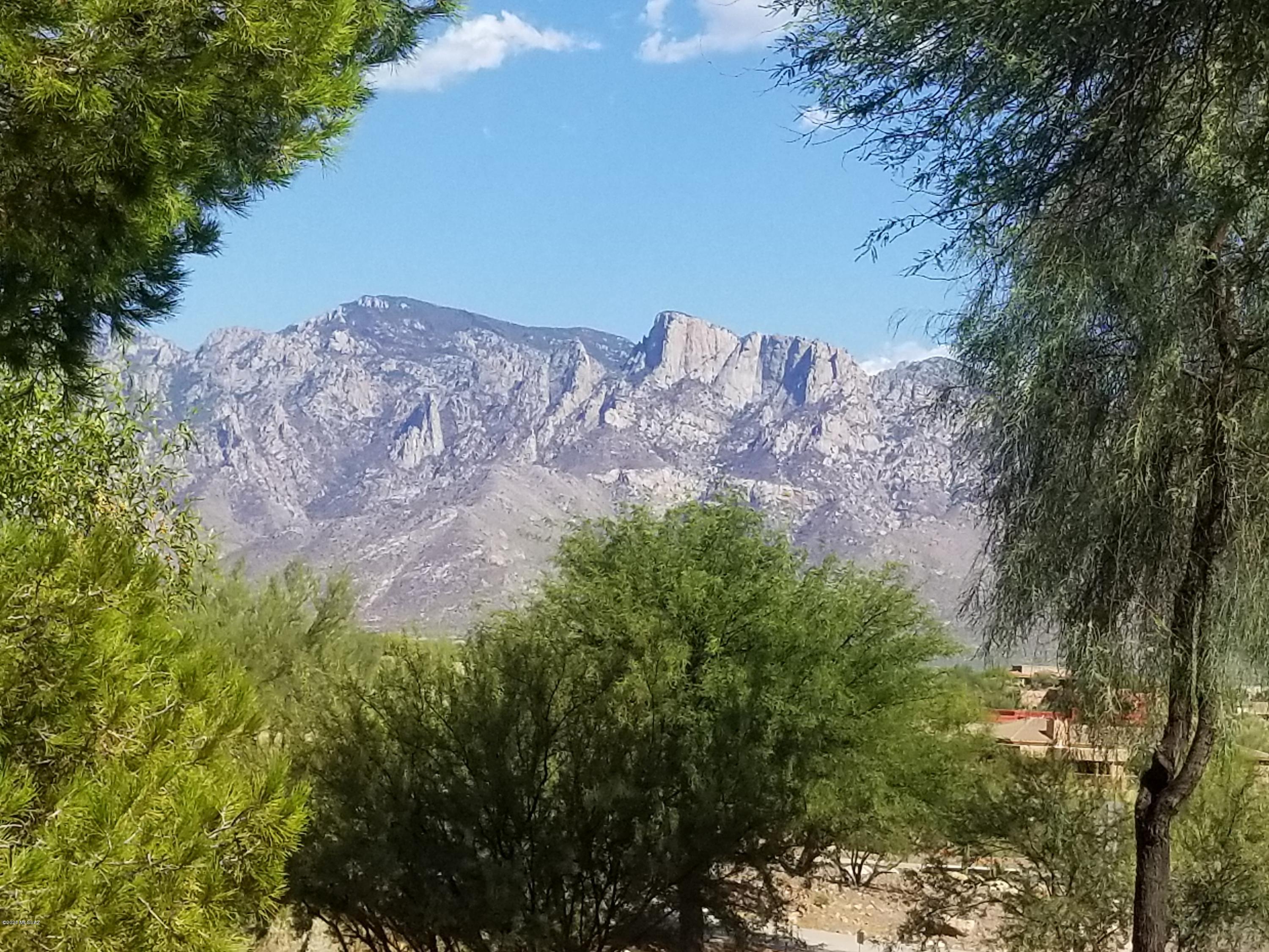 975 West Silver Spring Place Tucson, AZ 85755 - Photo 9 of 38