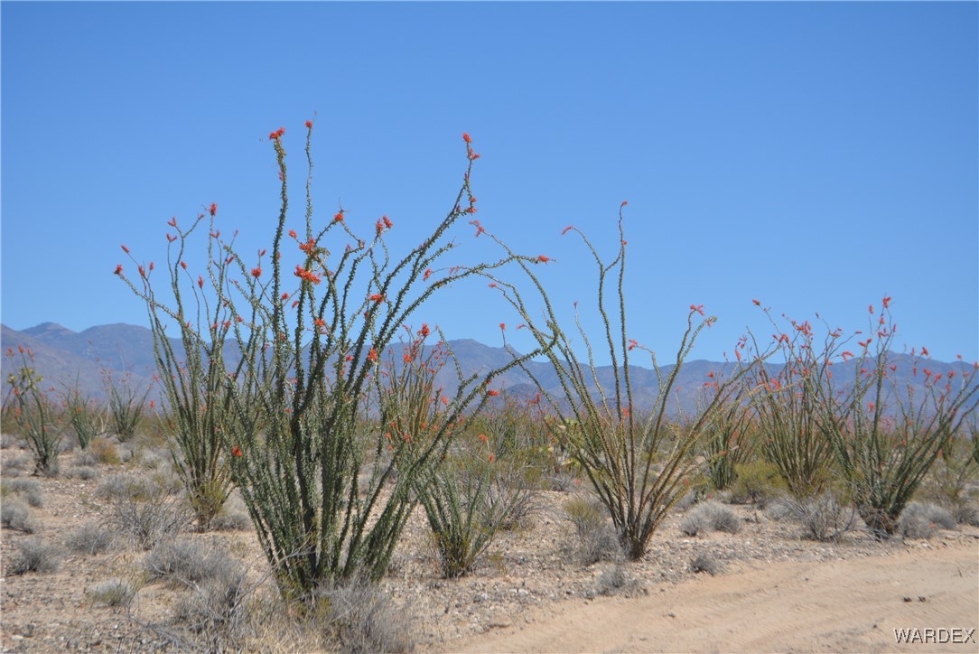 245-24-107 South Rainbow Road Yucca, AZ 86438 - Photo 84 of 91