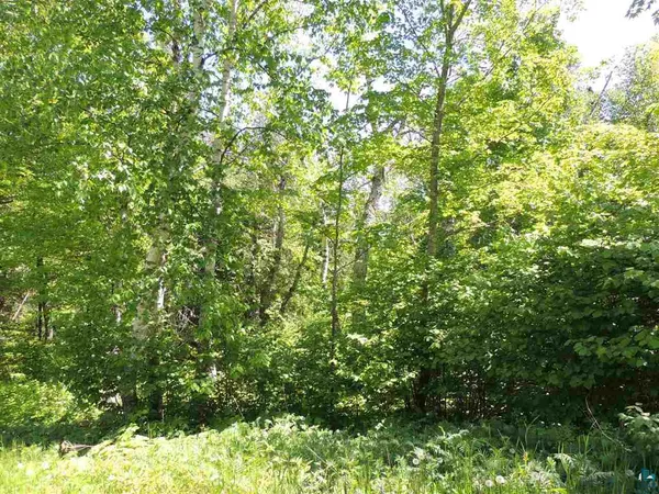 $59,900 | X30 Isak Ridge, Lutsen, MN 55612