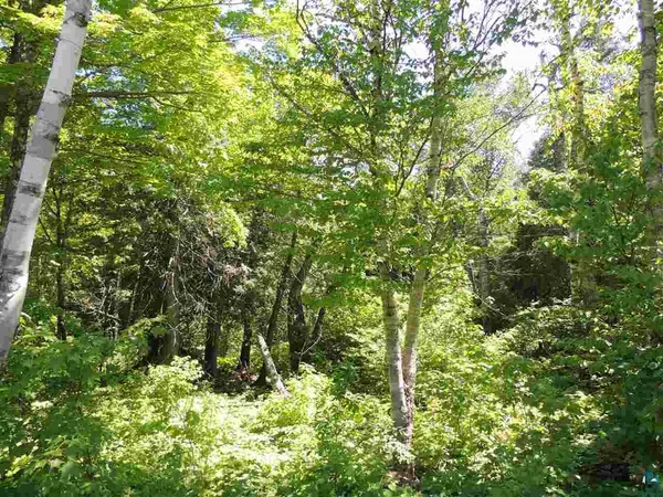 $59,900 | X30 Isak Ridge, Lutsen, MN 55612