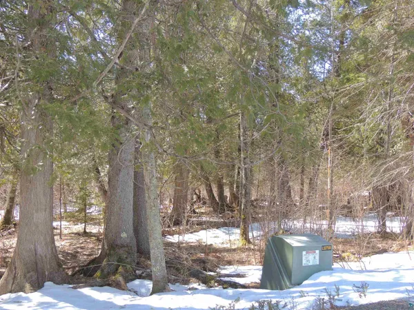 $59,900 | X30 Isak Ridge, Lutsen, MN 55612