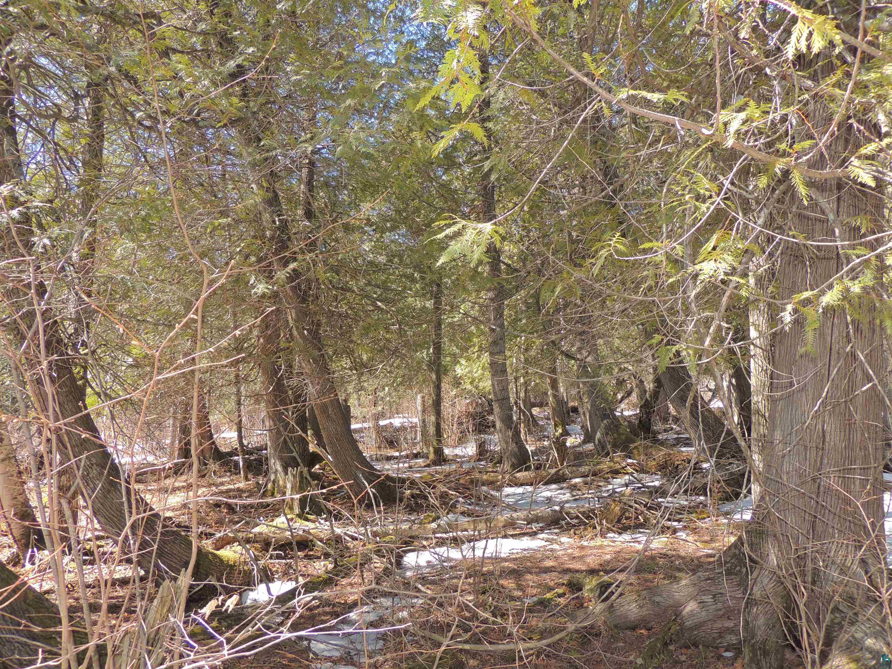 X30 Isak Ridge Lutsen, MN 55612 - Photo 19 of 28