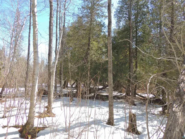 $59,900 | X30 Isak Ridge, Lutsen, MN 55612