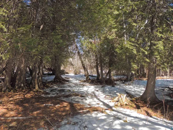 $59,900 | X30 Isak Ridge, Lutsen, MN 55612