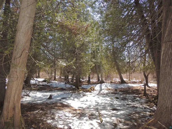 $59,900 | X30 Isak Ridge, Lutsen, MN 55612