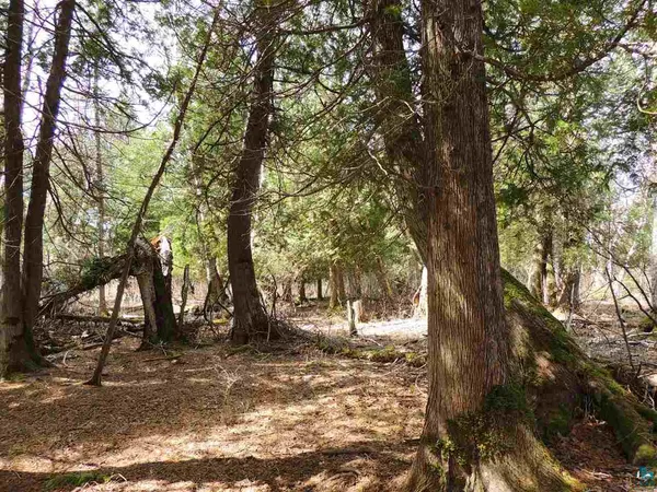 $59,900 | X30 Isak Ridge, Lutsen, MN 55612