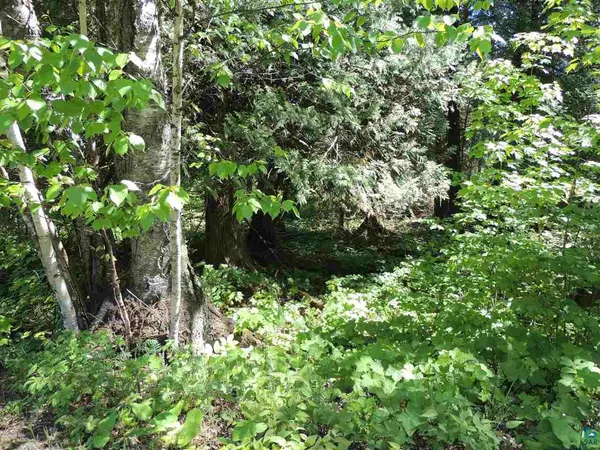 $59,900 | X30 Isak Ridge, Lutsen, MN 55612