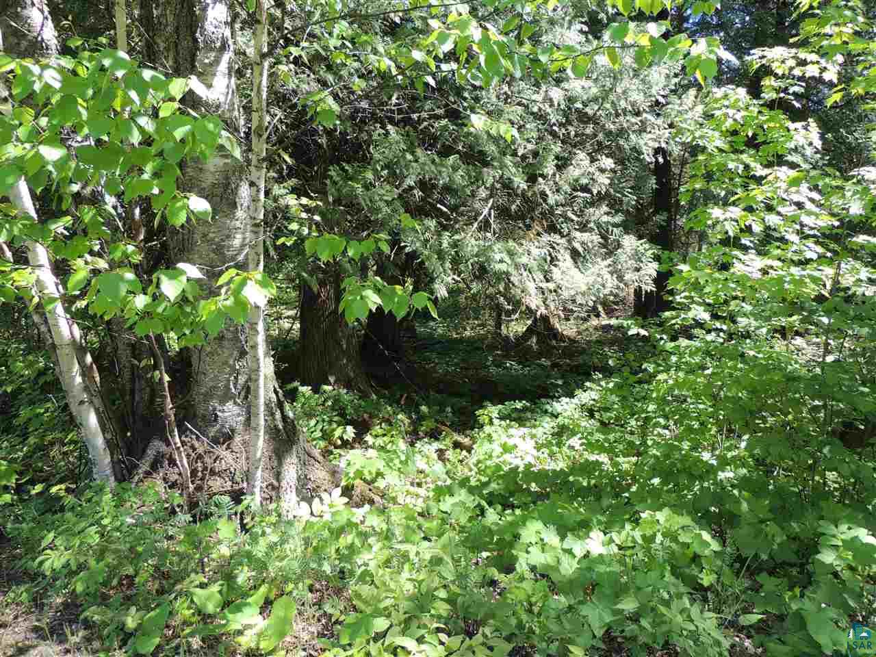 X30 Isak Ridge Lutsen, MN 55612 - Photo 7 of 28