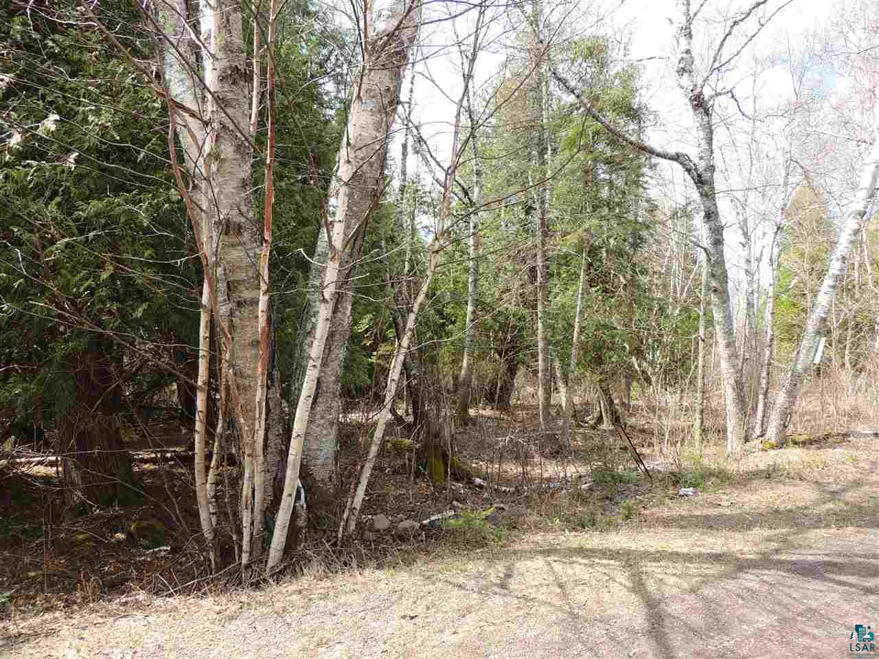 X30 Isak Ridge Lutsen, MN 55612 - Photo 8 of 28