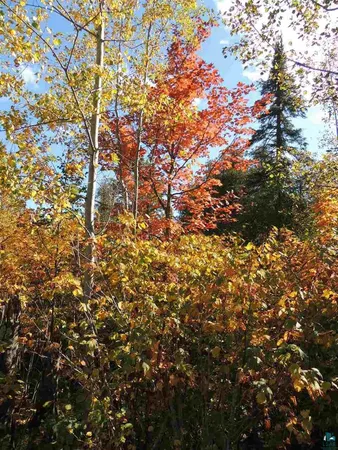 $59,900 | X30 Isak Ridge, Lutsen, MN 55612