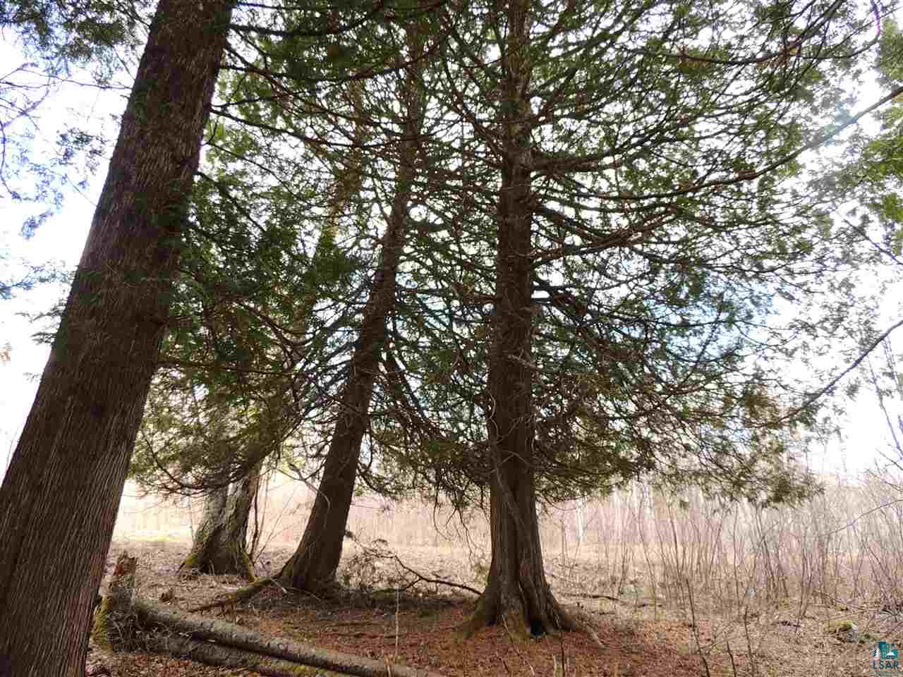 X30 Isak Ridge Lutsen, MN 55612 - Photo 10 of 28