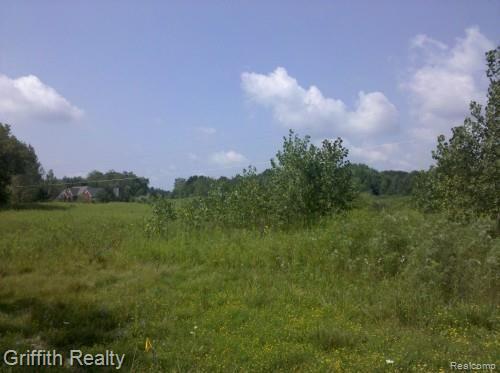 Vac Tooley Road Howell, MI 48855 - Photo 1 of 1