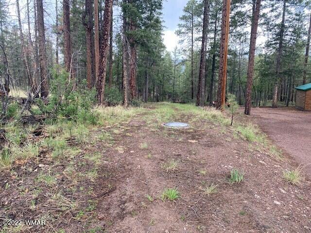 4 County Road Alpine, AZ 85920 - Photo 2 of 10