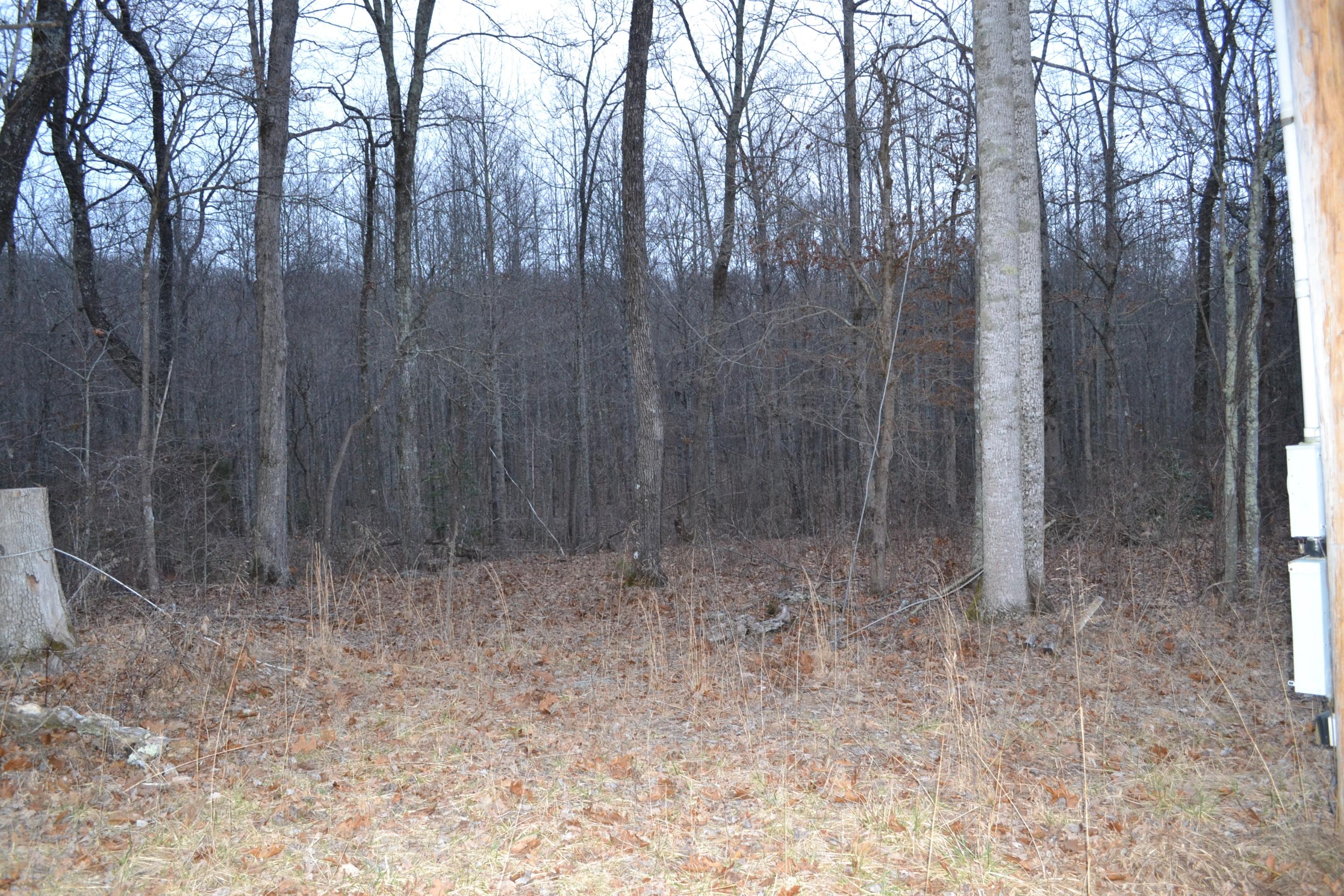 111 Christian Road Crossville, TN 38572 - Photo 4 of 7 DSC_0853