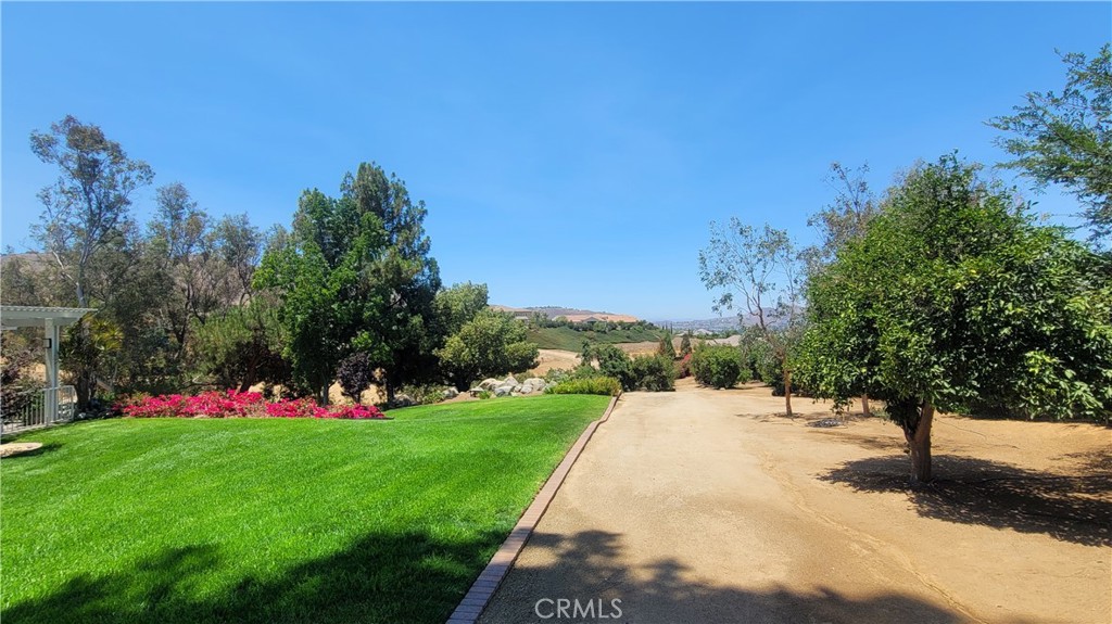 10851 Orchard View Lane Riverside, CA 92503 - Photo 4 of 75 Expansive Wonderful Land!
