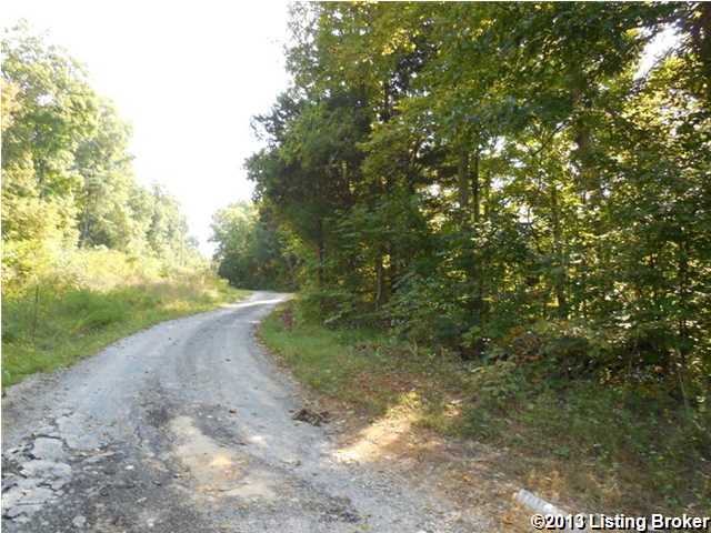 0 Red Lick Road Columbia, KY 42728 - Photo 12 of 15 Additional Photo
