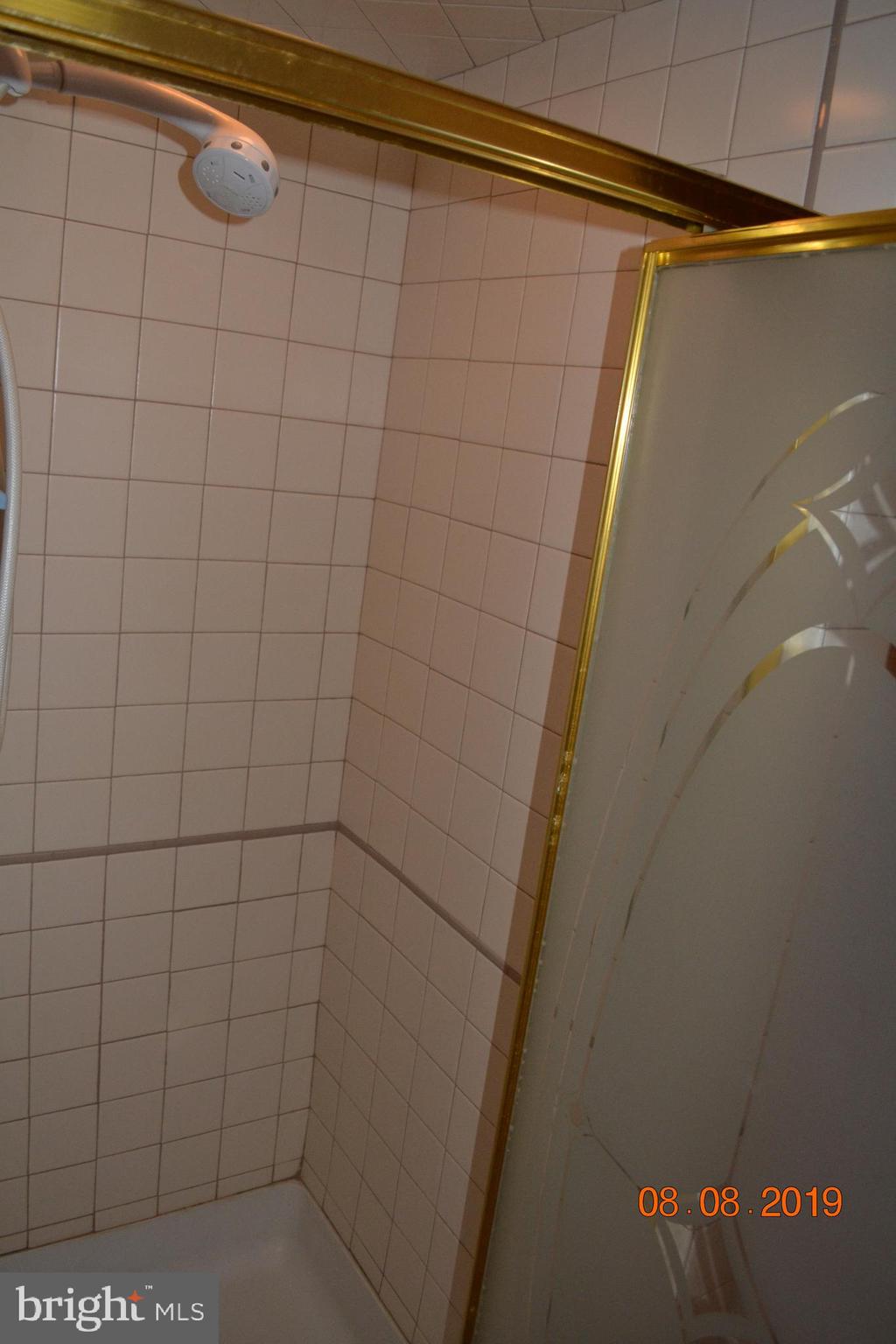 480 Ridge Road Gettysburg, PA 17325 - Photo 57 of 97 Shower in basement bath