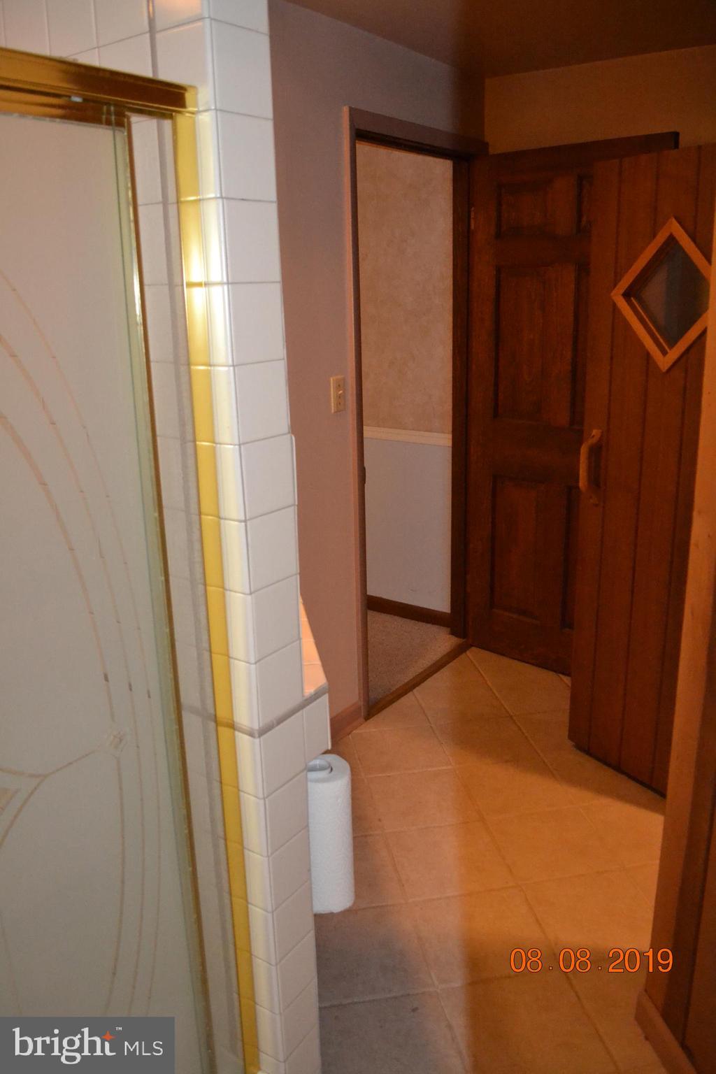 480 Ridge Road Gettysburg, PA 17325 - Photo 59 of 97 basement bathroom next to sauna