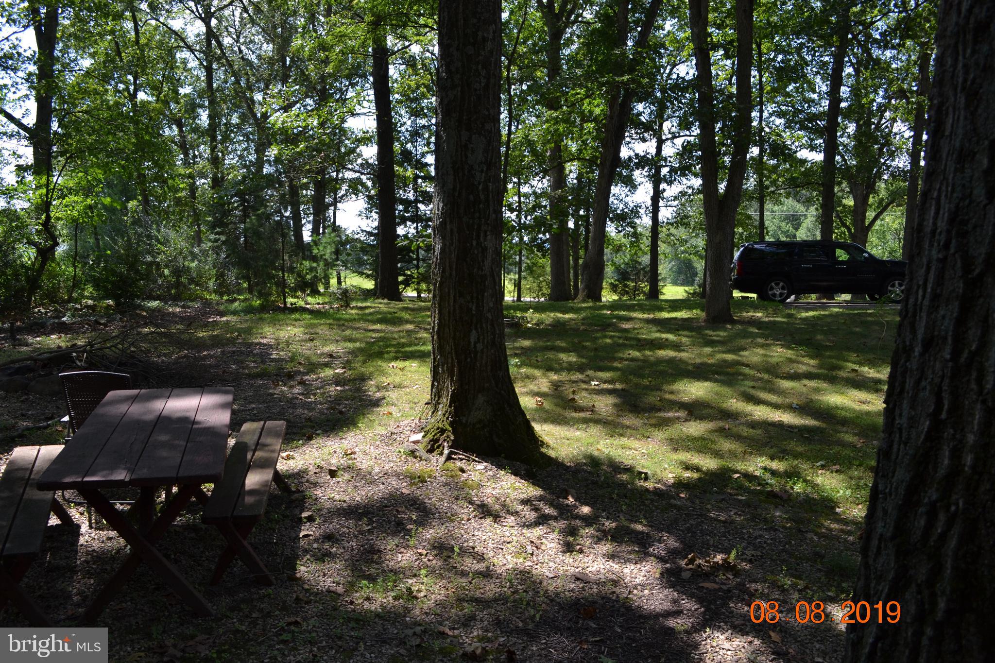 480 Ridge Road Gettysburg, PA 17325 - Photo 84 of 97 Side yard