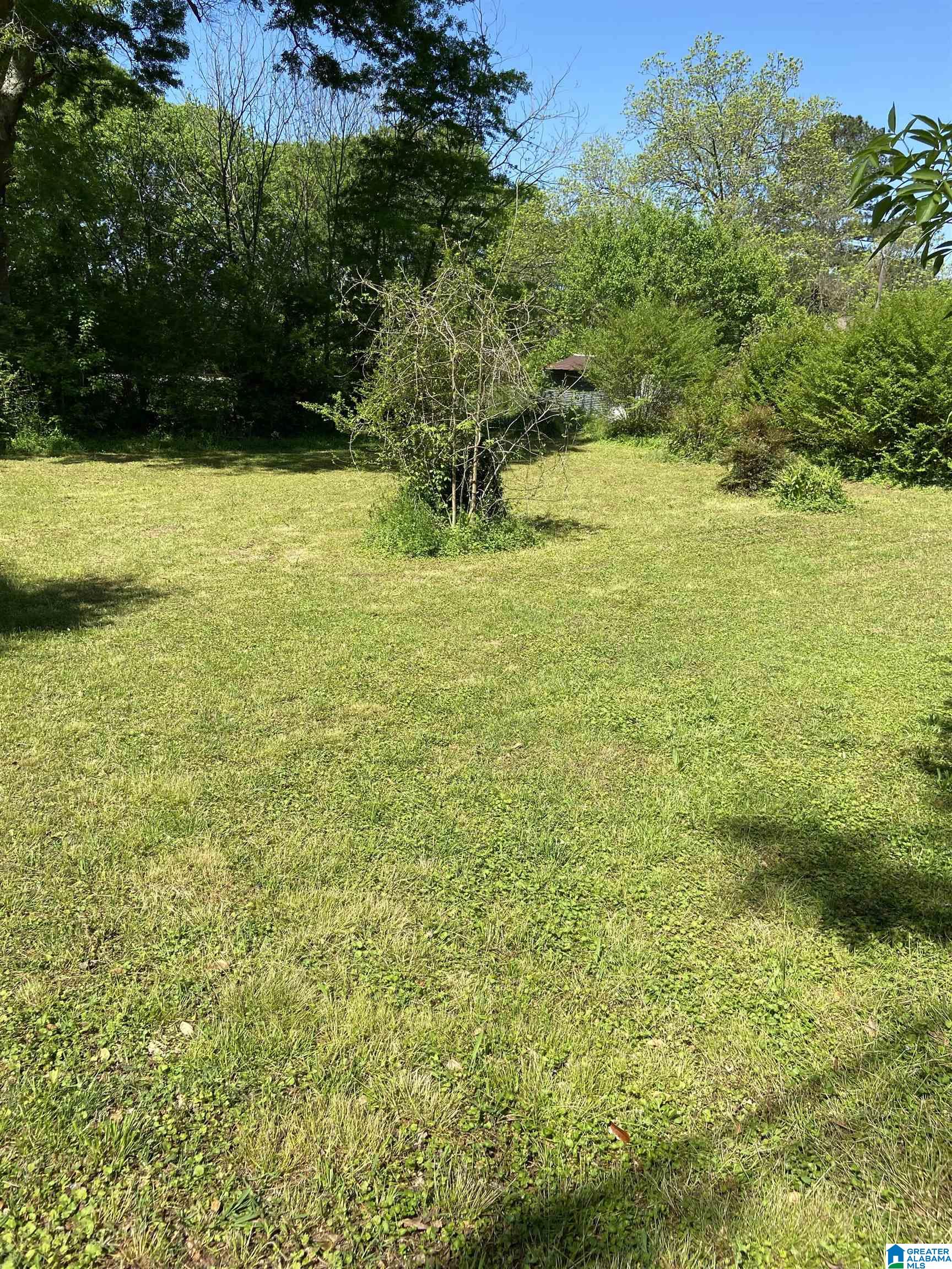 1723 Iron City Road, Unit 1 Anniston, AL 36207 - Photo 4 of 4
