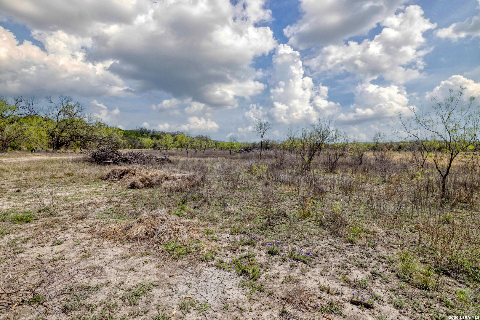 226 Whitetail Way Rio Frio, TX 78879 - Photo 15 of 60
