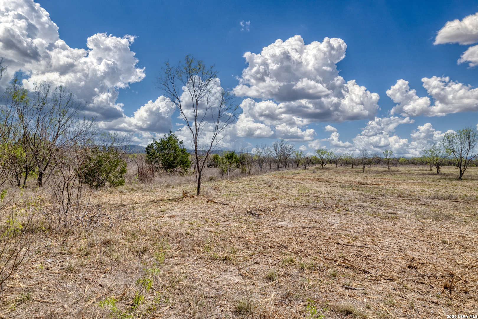 226 Whitetail Way Rio Frio, TX 78879 - Photo 25 of 60