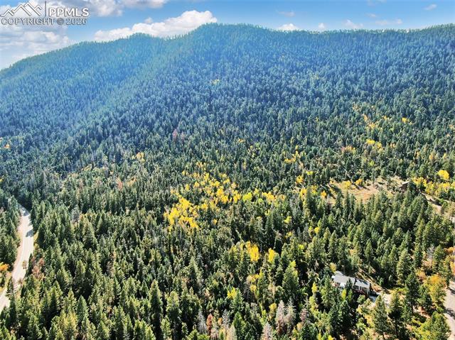 5265 Kulsa Road Cascade, CO 80809 - Photo 6 of 13 Property view of mountains