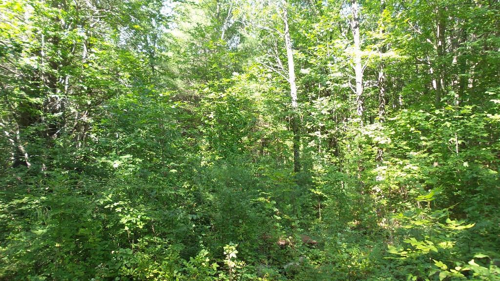 Tbd Stone Road West Newfield, ME 04095 - Photo 6 of 27 Photo