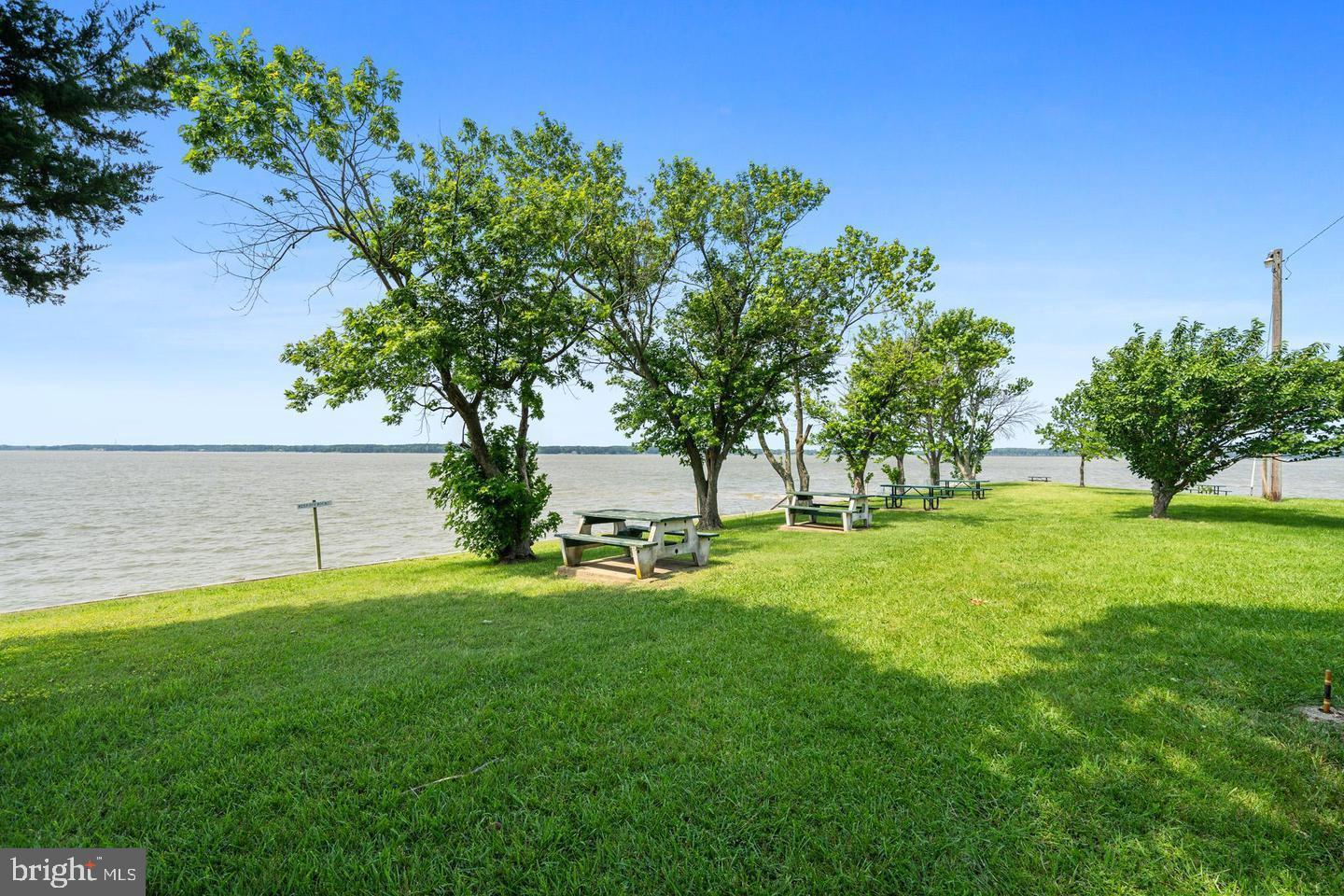24304 Mc Glue Road Chaptico, MD 20621 - Photo 23 of 23 a view of a backyard with large trees
